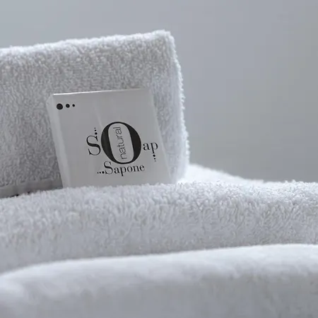 Hotel apartamentowy Garibaldi